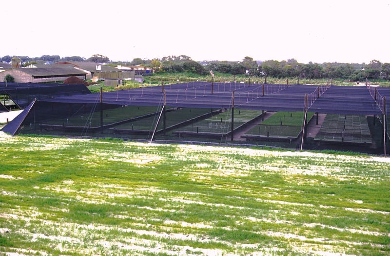 Alnet Agri Shadecloth Projects preview 10